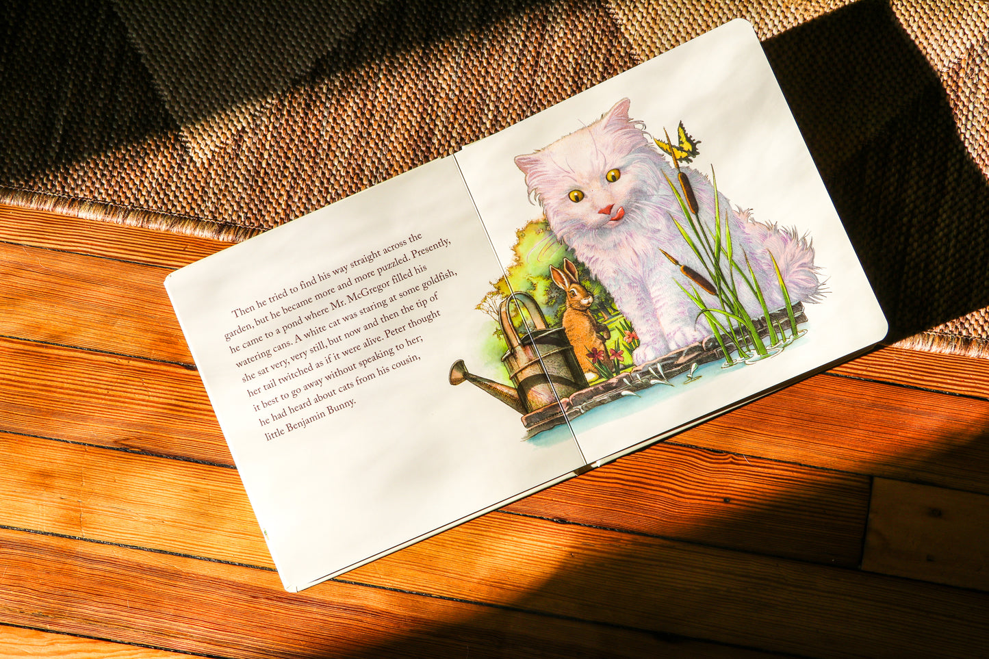 The Classic Tale of Peter Rabbit Touch and Feel Board Book: A Touch and Feel Lift the Flap Board Book