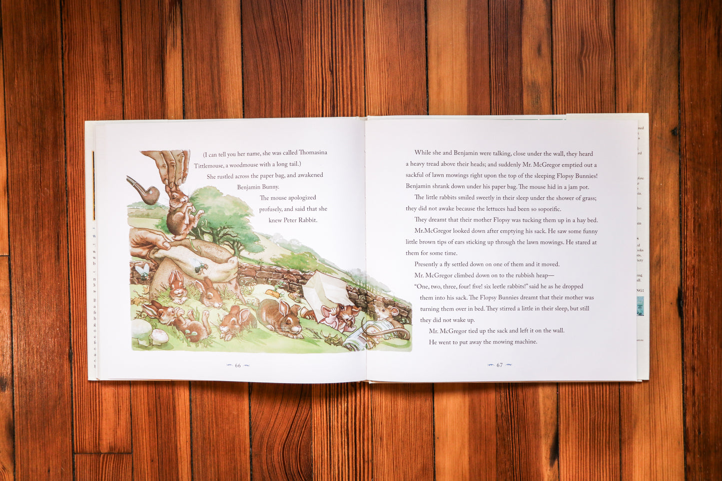 The Classic Tale of Peter Rabbit Hardcover: The Classic Edition by acclaimed Illustrator, Charles Santore