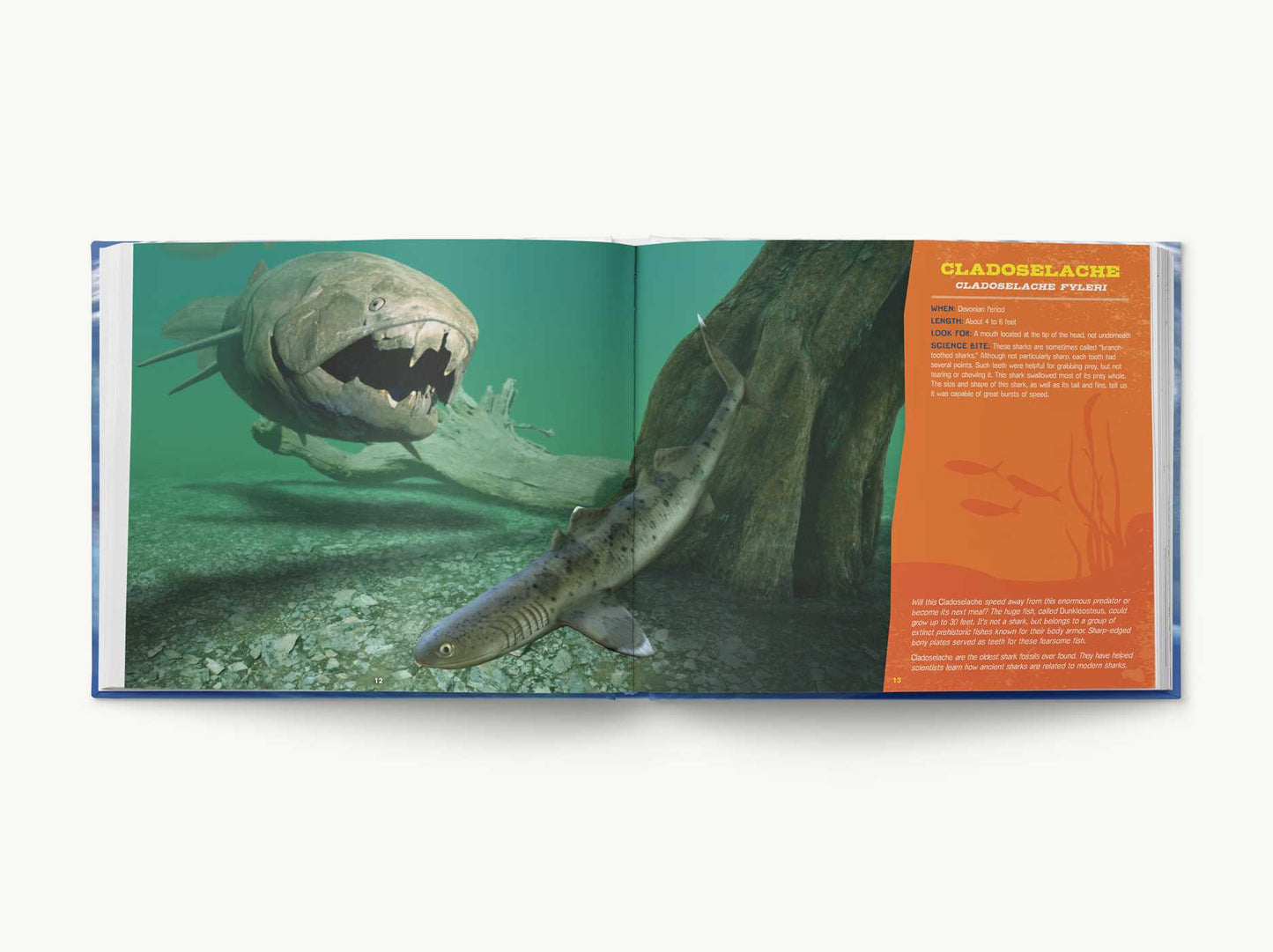 Discovering Sharks: The Ultimate Guide to the Fiercest Predators in the Ocean Deep