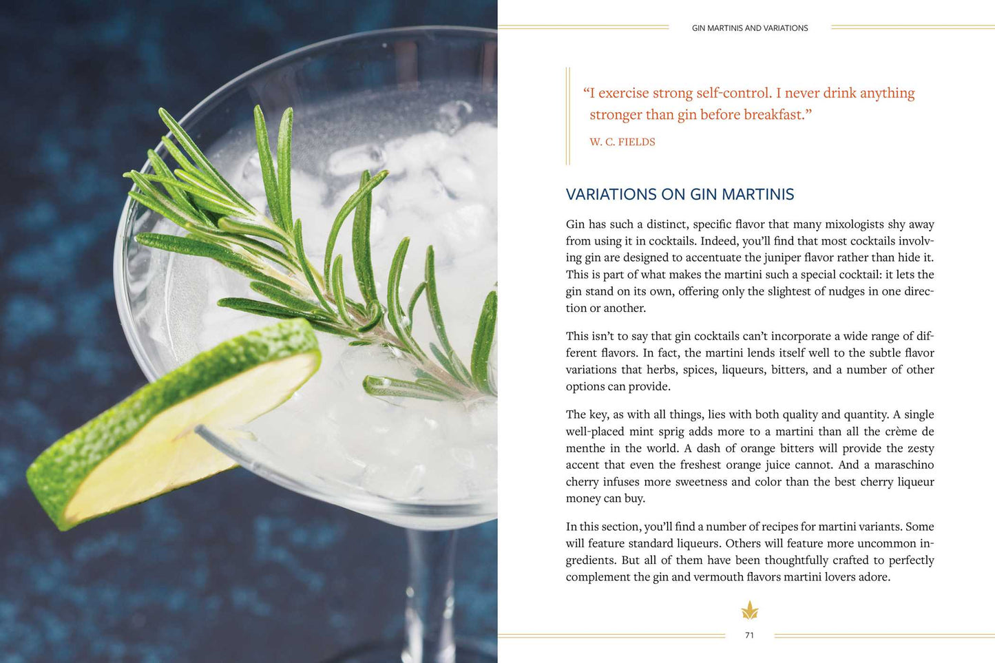 The Martini Field Guide: Martini Culture for the Cocktail Renaissance