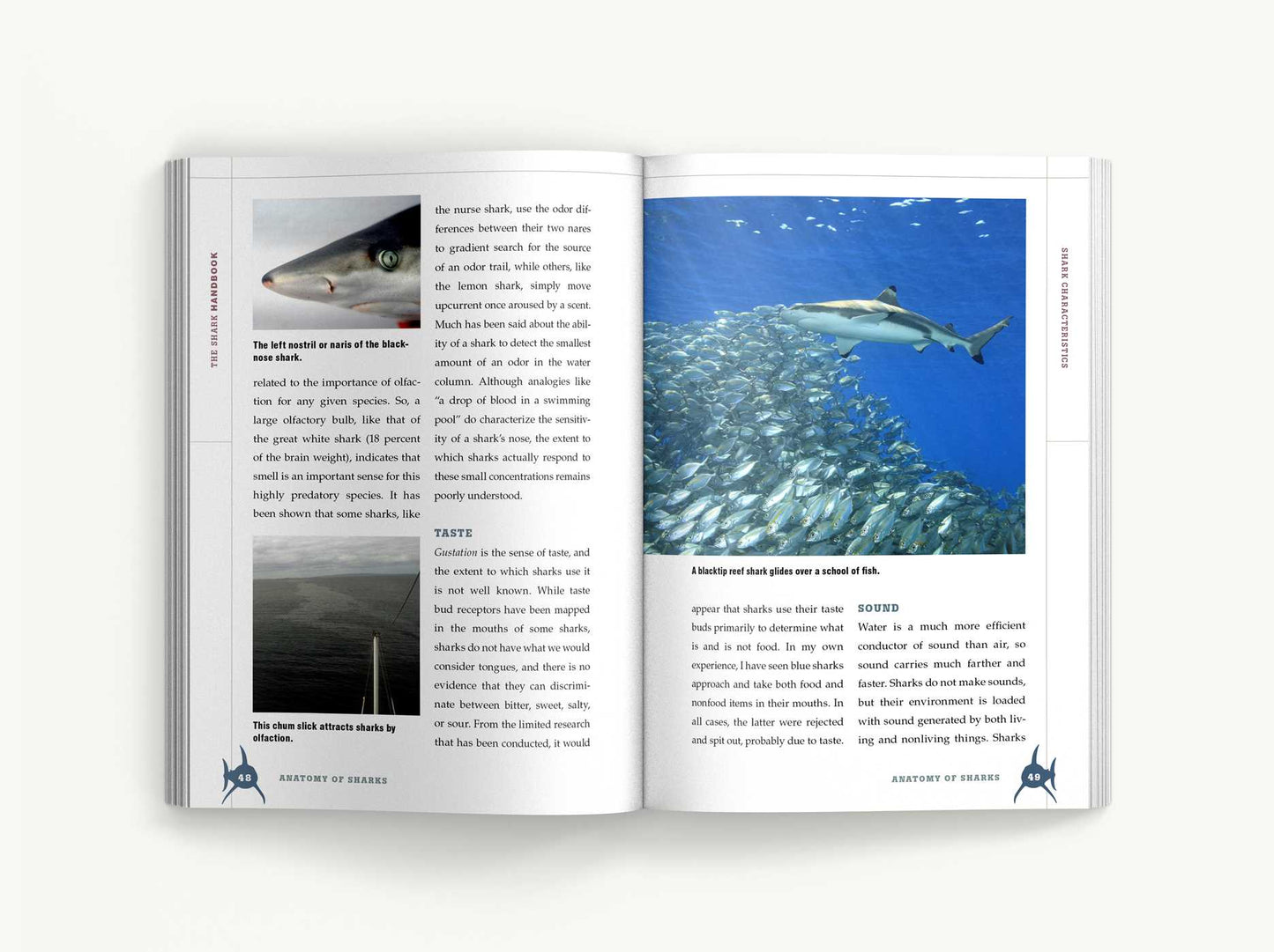 The Shark Handbook: Third Edition: The Essential Guide for Understanding the Sharks of the World (Shark Week Author, Ocean Biology Books, Great White Shark, Aquatic History, Science and Nature Books, Gifts for Shark Fans)
