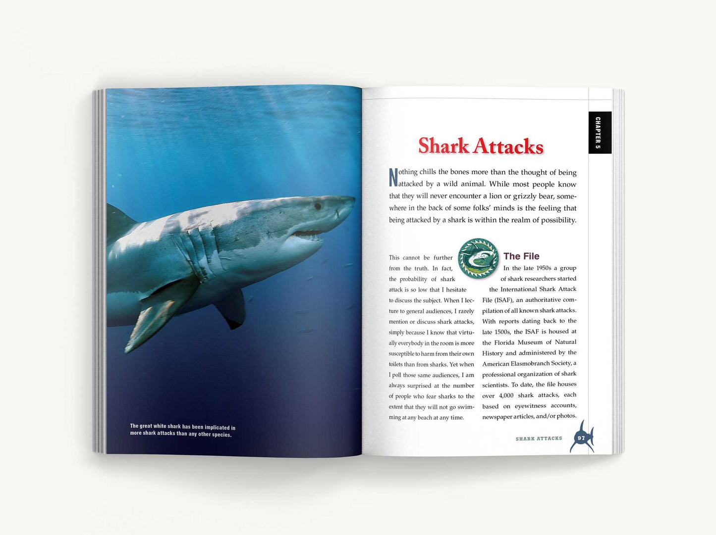 The Shark Handbook: Third Edition: The Essential Guide for Understanding the Sharks of the World (Shark Week Author, Ocean Biology Books, Great White Shark, Aquatic History, Science and Nature Books, Gifts for Shark Fans)