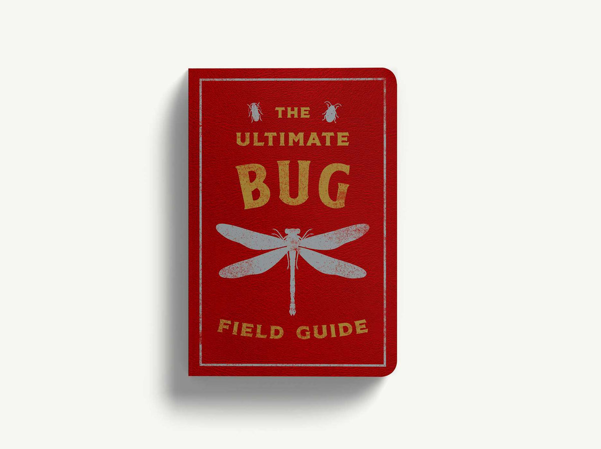 Uk Bugguide The Ultimate Bug Field Guide: The Entomologist's Handbook – Cider Mill ...