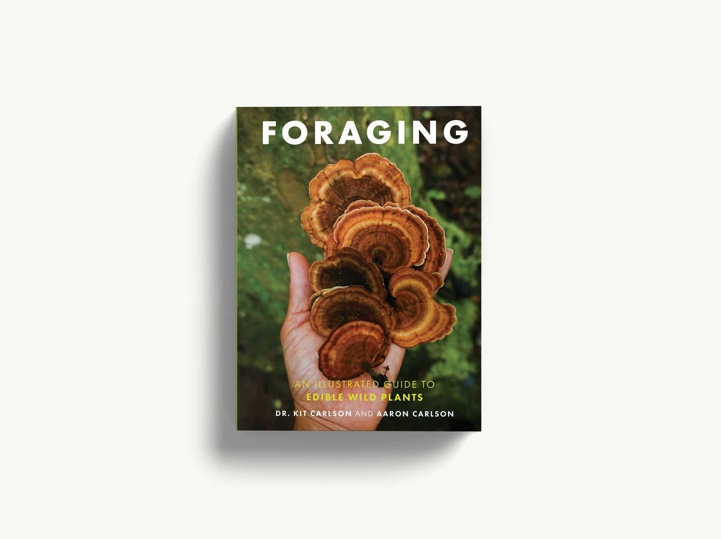Foraging: An Illustrated Guide to Edible Wild Plants