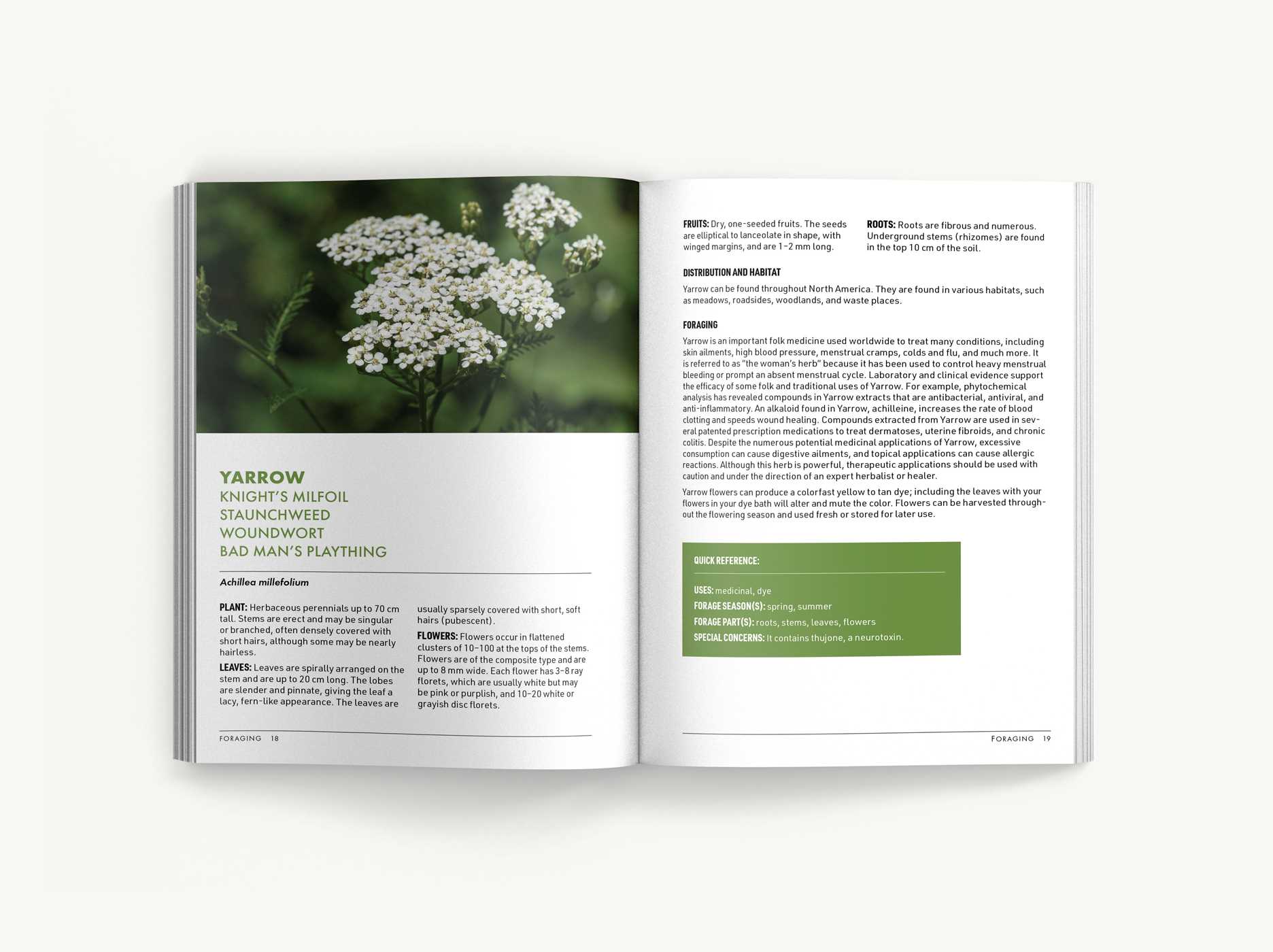 Foraging: An Illustrated Guide to Edible Wild Plants – Cider Mill Press