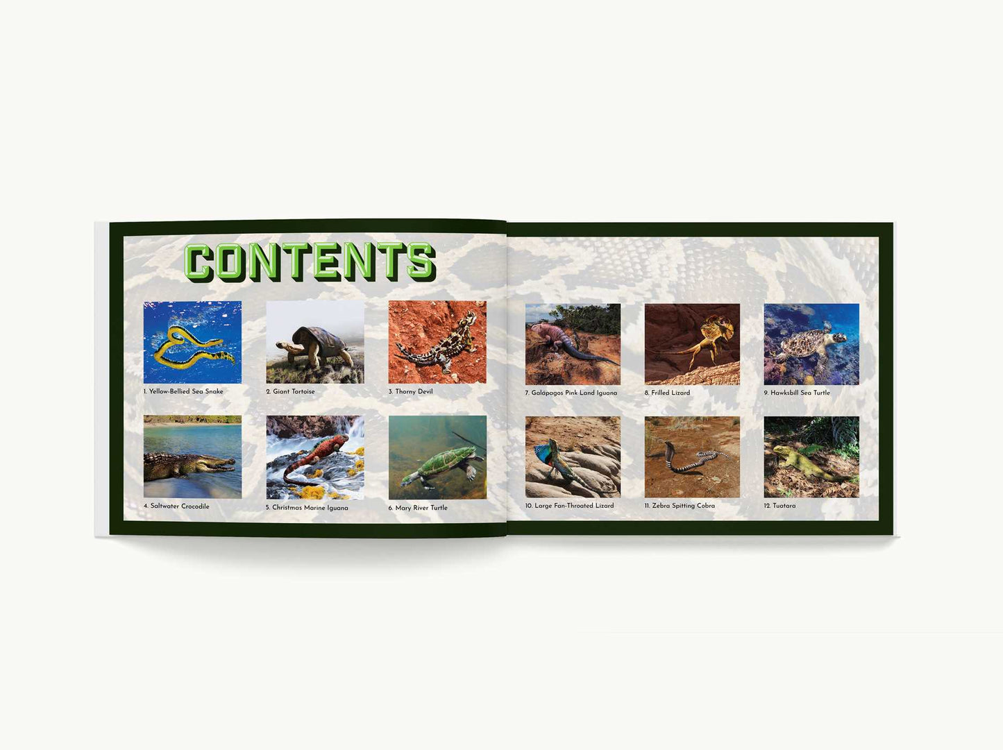 Sticker Mosaics: Reptiles: Sticker Together 12 Unique Reptilian Design ...