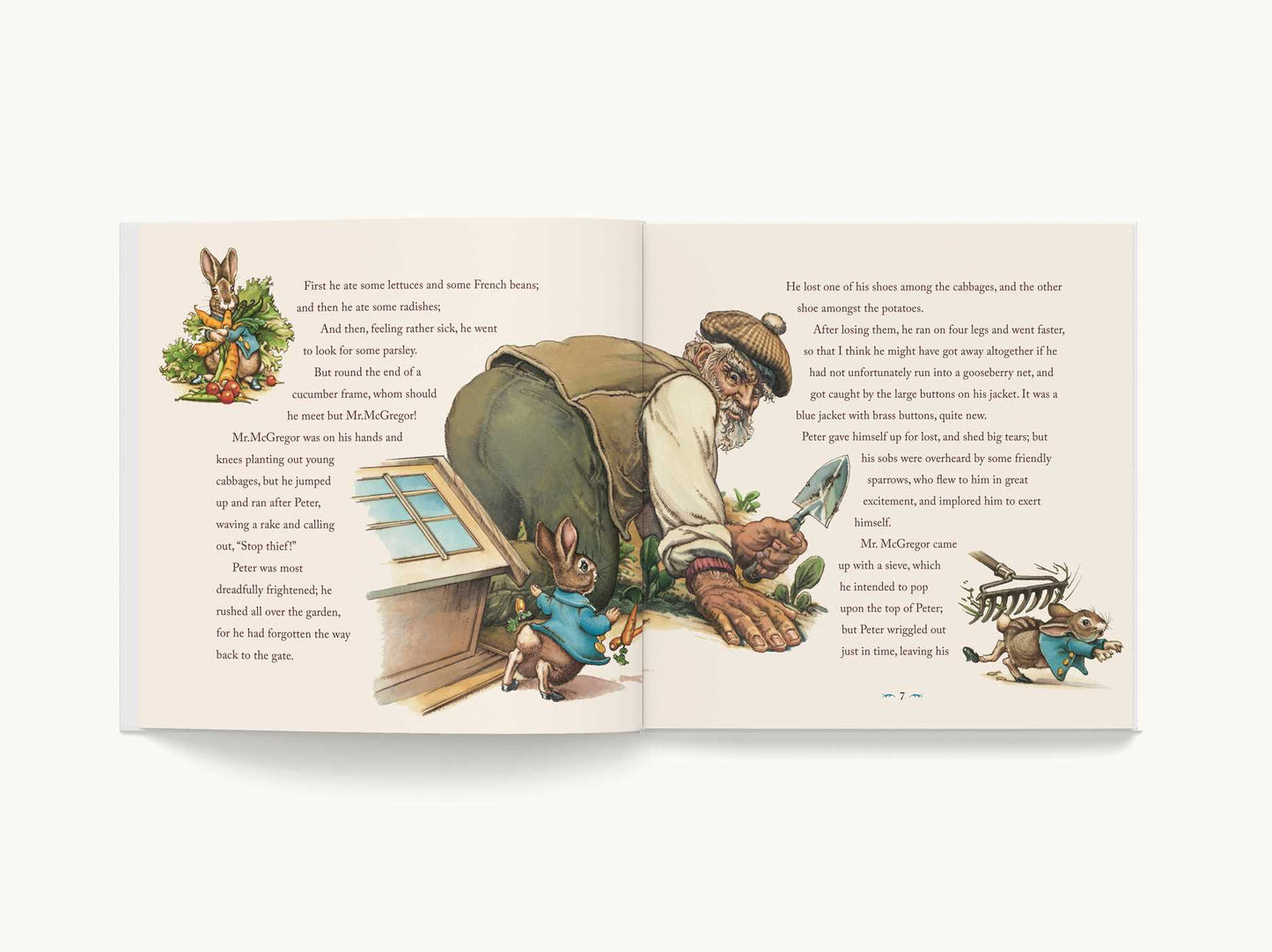 The Classic Tale of Peter Rabbit Heirloom Edition: The Classic Edition Hardcover with Audio CD Narrated by Jeff Bridges