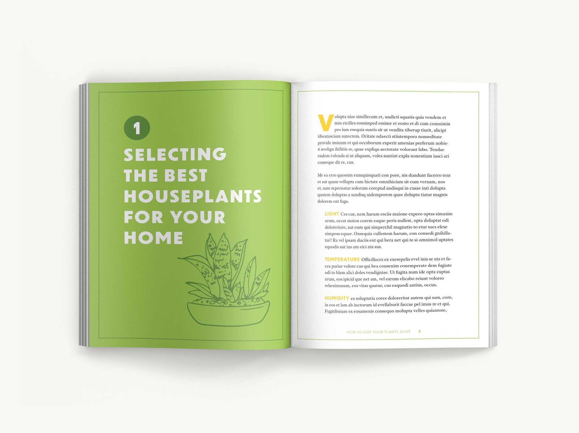 best book about house plants How to Keep Your Plants Alive: 50 Plants That Are Impossible to Kill