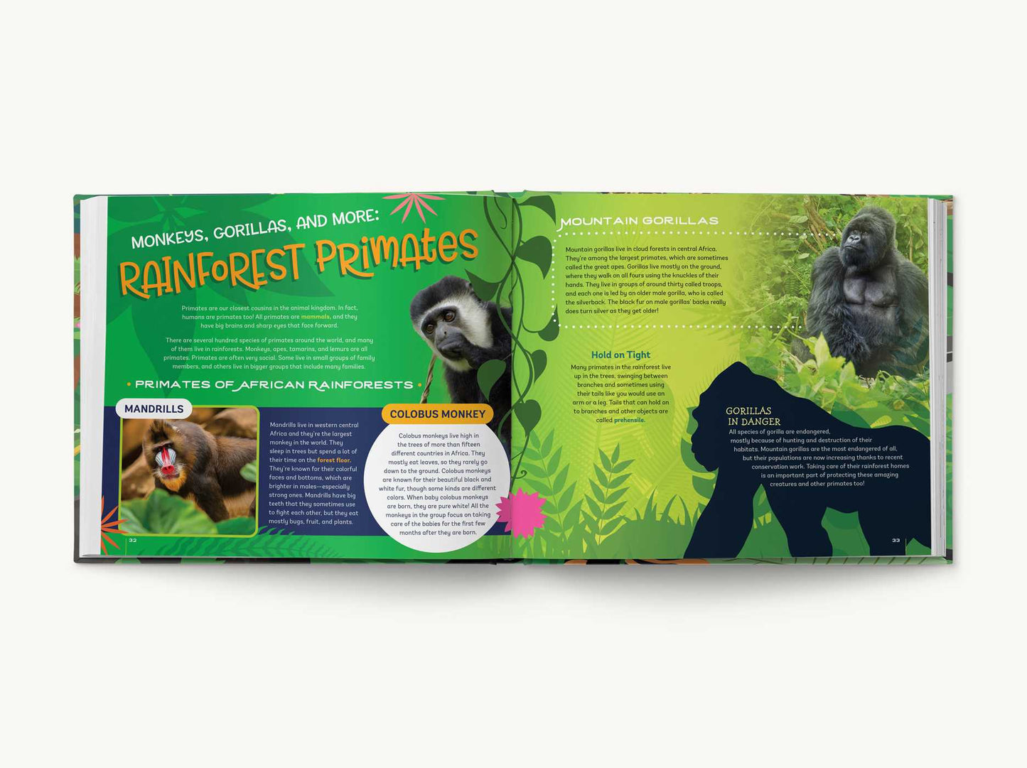 Your Bedroom is a Rainforest!: Bring Rainforest Animals Indoors with Reusable, Glow-in-the-Dark Stickers of Monkeys, Tigers, Sloths, Parrots, Jaguars, Tarantulas, Pandas, Fireflies, and More!