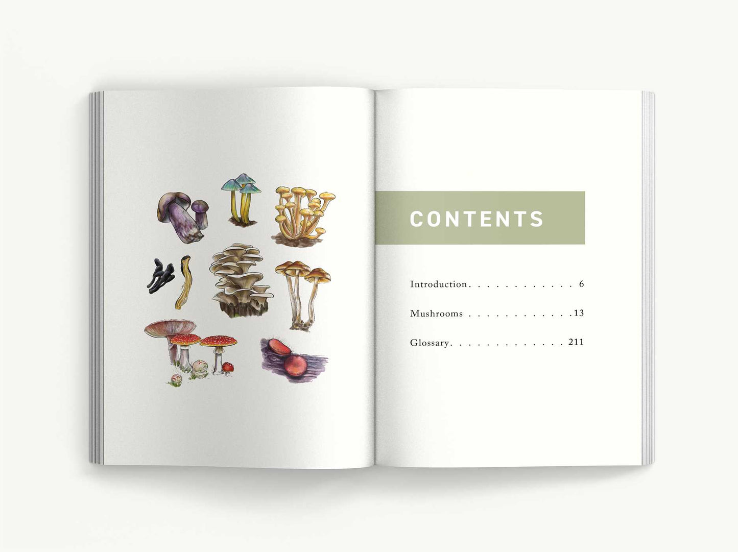 Mushrooms: An Illustrated Field Guide